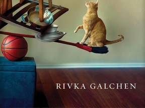 American Innovations by Rivka Galchen