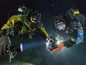 AP Photo/National Geographic, Paul Nicklen