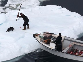 Handout/AFP/Getty Images/Files