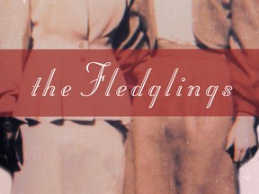 The Fledglings by David Homel