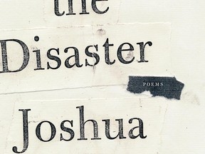 Acceopting the Disaster by Joshua Mehigan