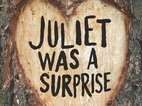 Juliet Was a Surprise by BIll Gaston