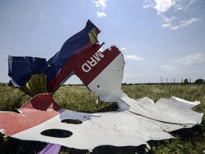 A picture shows a piece of debris of the fuselage at the crash site of the Malaysia Airlines Flight MH17  near the village of Hrabove (Grabovo), some 80km east of Donetsk, on July 25, 2014.
