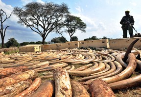 Tony Karumba/AFP/Getty Images/Files