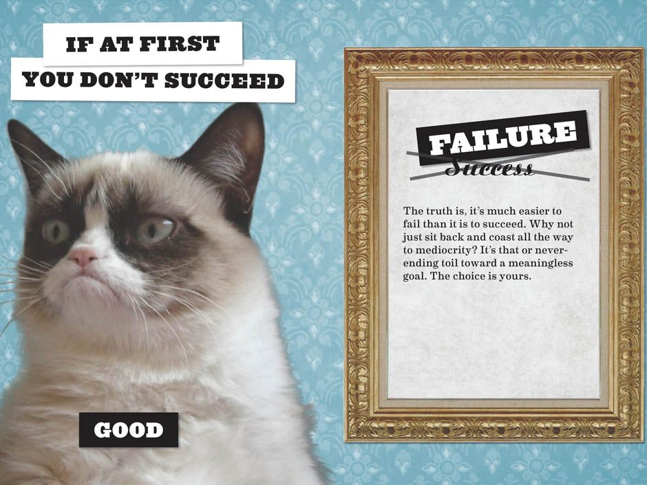 RIP Grumpy Cat: Looking back on her best memes, Article