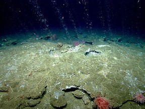 NOAA Okeanos Explorer Program