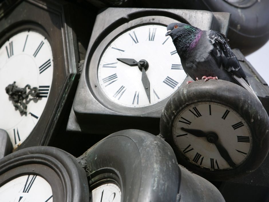 Daylight-Saving Time Is Deadly: Heart Attacks and Car Crashes Spike