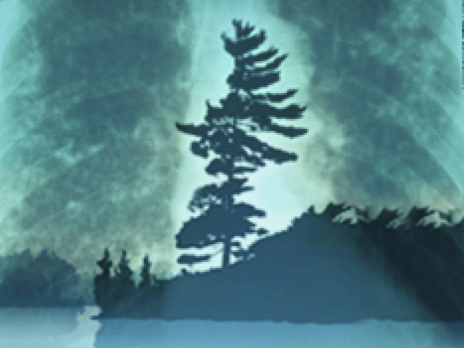 Philip Marchand The CanLit umbrella Edmonton Journal