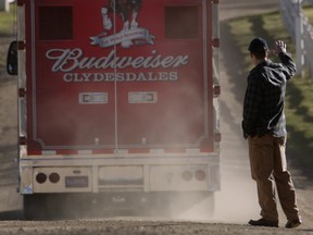 Still image from the Budweiser Clydesdales Super Bowl ad from 2013.