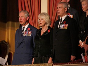 Tim P. Whitby/Getty Images for The Royal British Legion