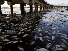 AP Photo/Leo Correa