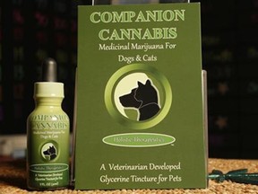 In Nevada medical marijuana could soon be made available to pets.