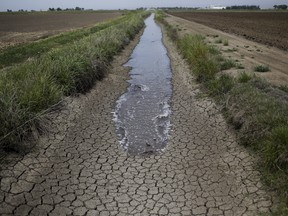 AP Photo/Jae C. Hong, File