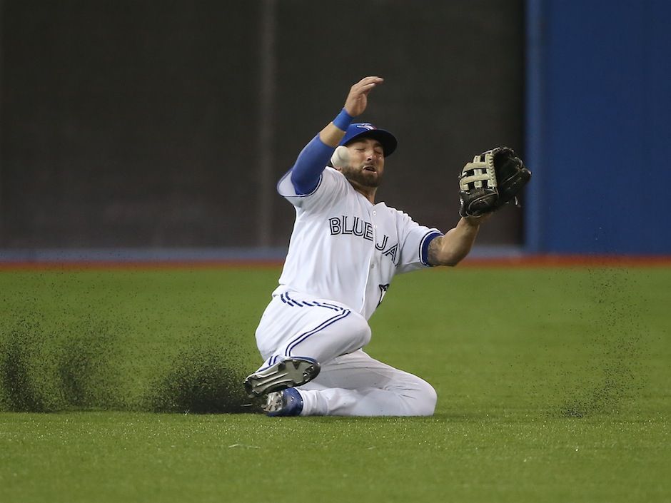 Blue Jays fan made a diving catch