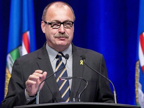 Interim Alberta PC leader Ric McIver says he will have a word with party vice-president Jordan Lien about his remarks.