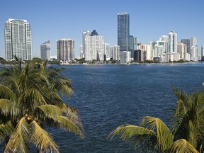 Local Input~ Palms and skyline of MiamiFOR NATIONAL POST USE ONLY - NO POSTMEDIA - For FP property piece, Florida property. Credit: Getty/Thinkstock.