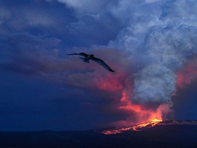 DIEGO PAREDES/AFP/Getty Images