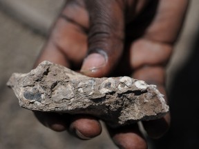 Yohannnes Haile-SelassieCleveland Museum of Natural History via AP