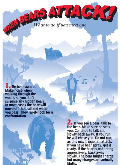 What to do when a bear attacks