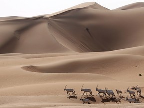 AFP PHOTO / KARIM SAHIB