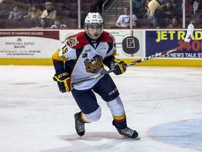 THE CANADIAN PRESS/HO-Erie Otters-Matt Mead Photography
