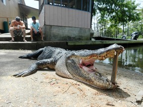 Jake Daniels/The Beaumont Enterprise via AP