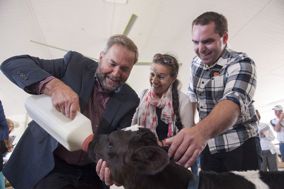 The Making Of Tom Mulcair: How The NDP Leader Played The Long Game And ...