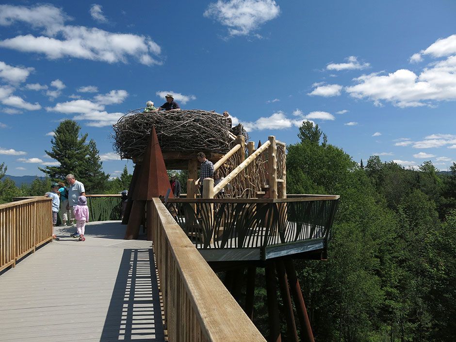 Elevated boardwalk in upstate New York gives visitors a treetop view of