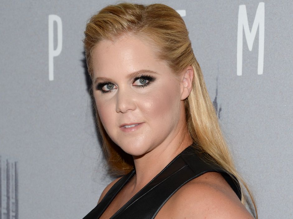 Amy Schumer Sex Tape - Chasing Amy Schumer: The rapid rise to stardom | National Post