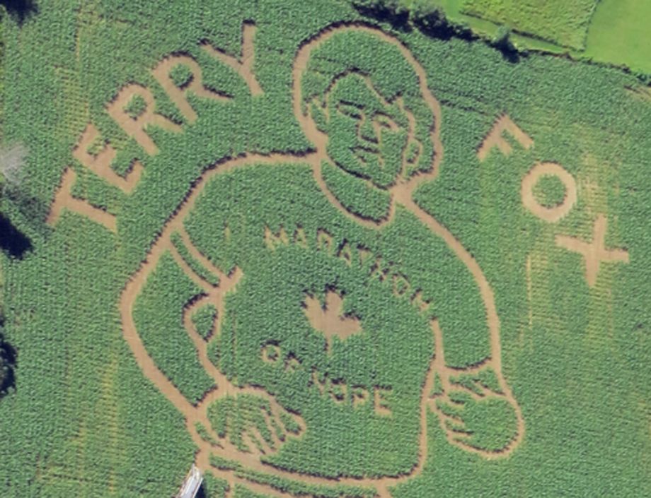 Terry Fox corn maze a tribute for the ‘amazing’ kid who ran by New Brunswick farm in 1980