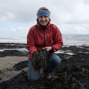 Forage for your supper in Ireland: Wild food walks offer a unique way ...