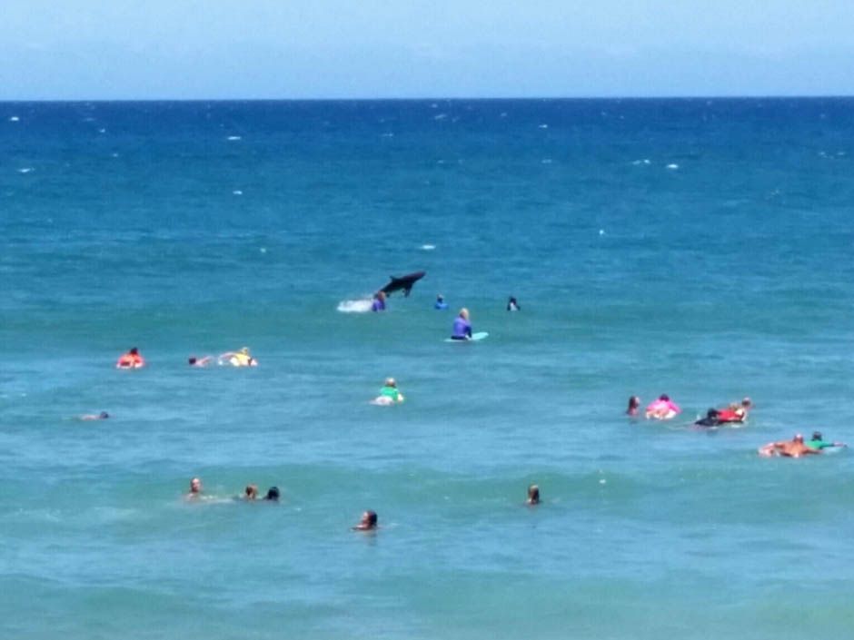 NFL super agent wrestles 9-foot shark in open waters, avoids tragedy