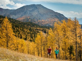 Travel Alberta