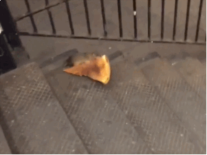 pizzarat.gif