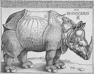durer-rhinoceros-392.jpg