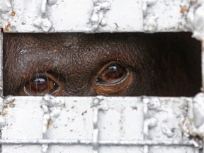 AP Photo/Sakchai Lalit