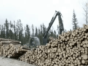 logs-big