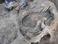 In this undated photo provided by researchers on Jan. 12, 2016, volunteer Sergey Gorbunov works at the excavation site of a mammoth carcass in northern Russia's Siberia region near the Kara Sea. The remains from about 45,000 years ago have revealed the earliest known sign of humans in the Arctic. Marks on the bones indicate the creature was stabbed and butchered. The tip of a tusk was damaged in a way that suggests human activity, perhaps to make ivory tools. (Alexei Tikhonov/Pitulko et al./Science via AP)