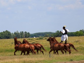 oroszgy/Fotolia