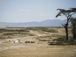 TONY KARUMBA/AFP/Getty Images