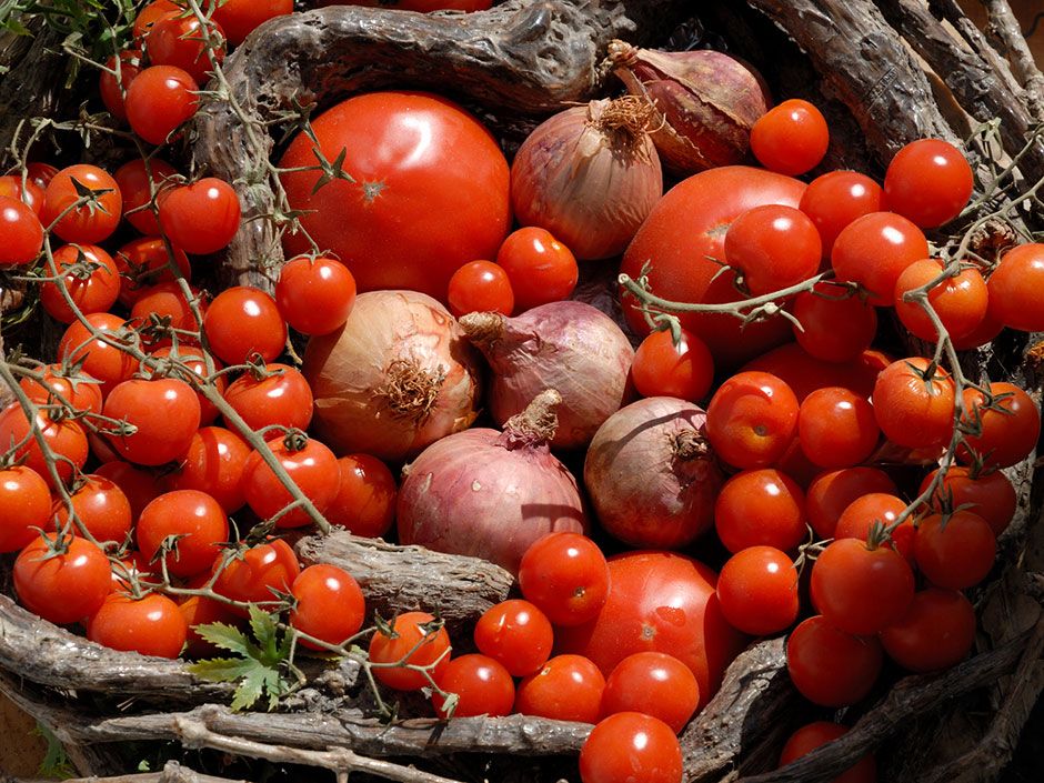 In appreciation of the tomato On the Greek island of Santorini, tomato