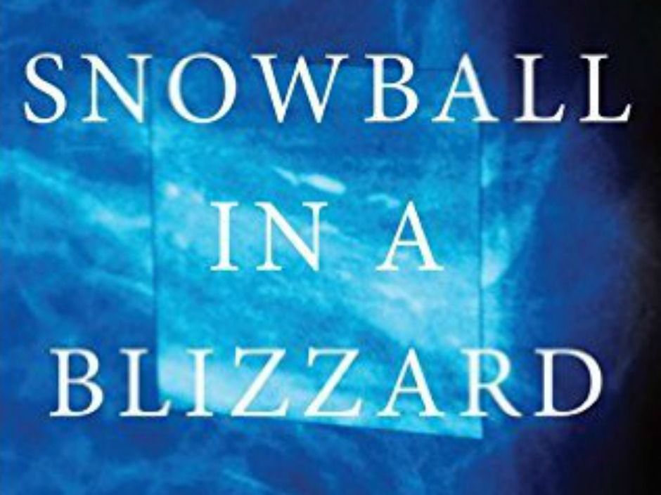 Snowball in a blizzard : the tricky problem of uncertainty in