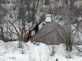 Wayne Cuddington / Ottawa Citizen