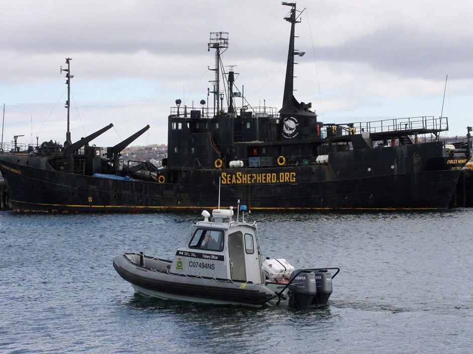 Sea Shepherd Tracks Down and Exposes Notorious Chinese Squid Fishing Fleet  off the Galapagos Islands — Sea Shepherd Conservation Society