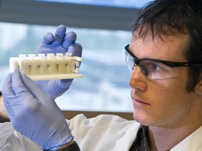 File photo of a researcher at the BC Cancer Agency Research Centre. Immunotherapy drugs, while still mostly new and experimental, are already yielding some staggering results in cancer patients.