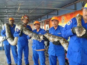 Malaysia Civil Defence Department
