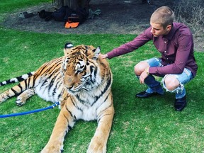 Bieber stroking the alleged Bowmanville tiger.