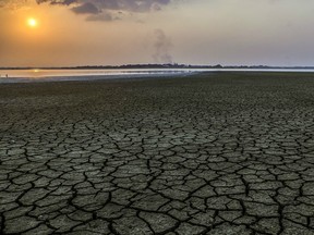 A dried swamp in La Mojana San Marcos in Colombia earlier this year. Northern Colombia went through a severe drought partly due to El Nino.