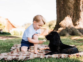 Prince George with the family dog Lupo at Sandringham in Norfolk