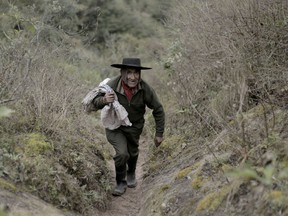 Pedro Luca walks down the mountain to San Pedro de Colalao, in Argentina's northern province of Tucuman